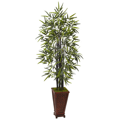 Silk Trees