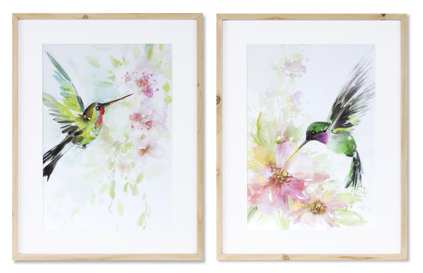 Framed Hummingbird Print (Set of 2)
