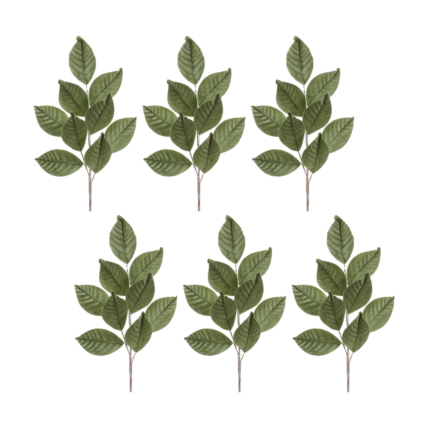 Green Flocked Magnolia Leaf Spray (Set of 6)