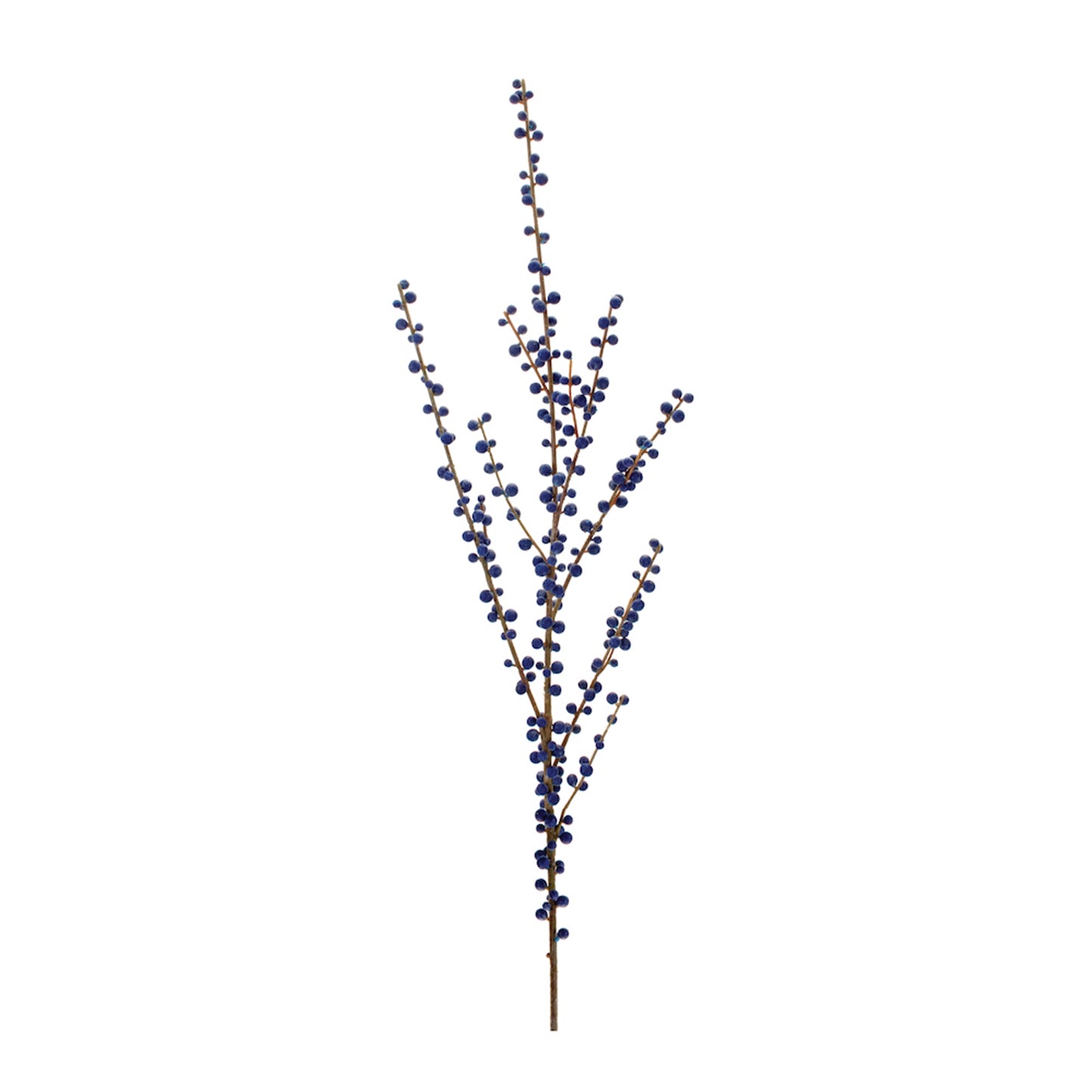 Ilex Blue Berry Spray (Set of 2)