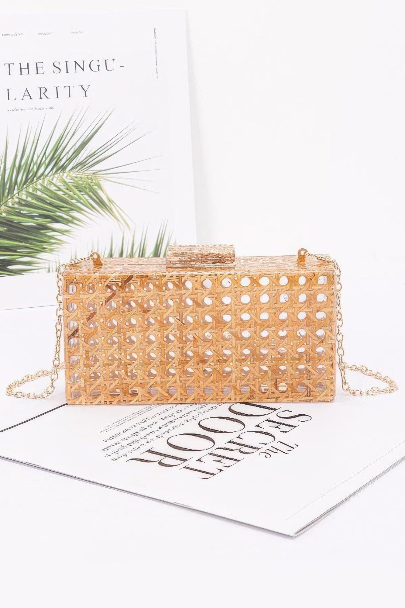 Acrylic Bamboo Case Bag