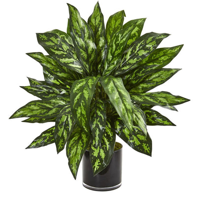 Silk Plants