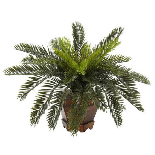 Cycas w/Hexagon Vase