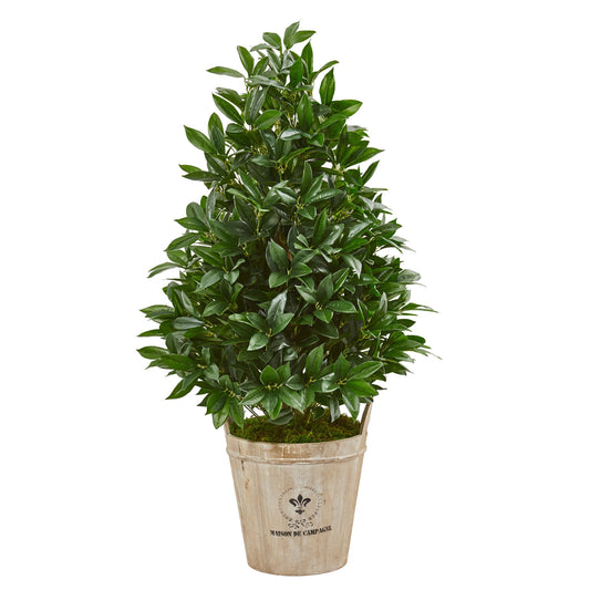 39" Bay Leaf Cone Topiary Tree in Farmhouse Planter