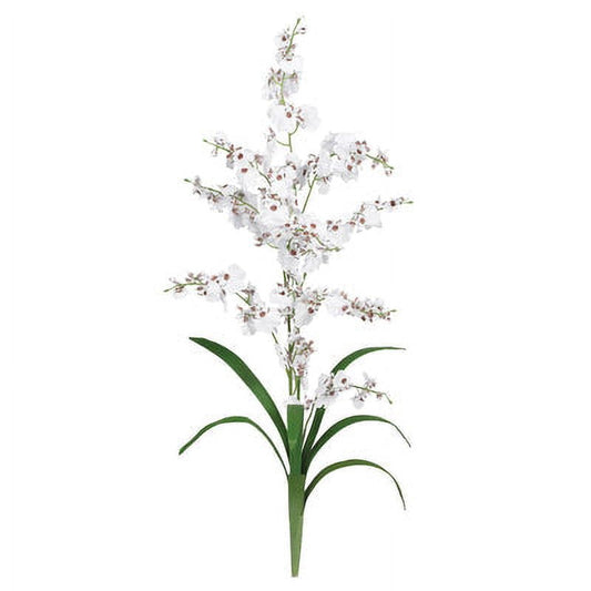 Dancing Lady Stem (Set of 12) - White