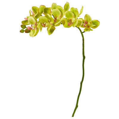 Silk Flowers