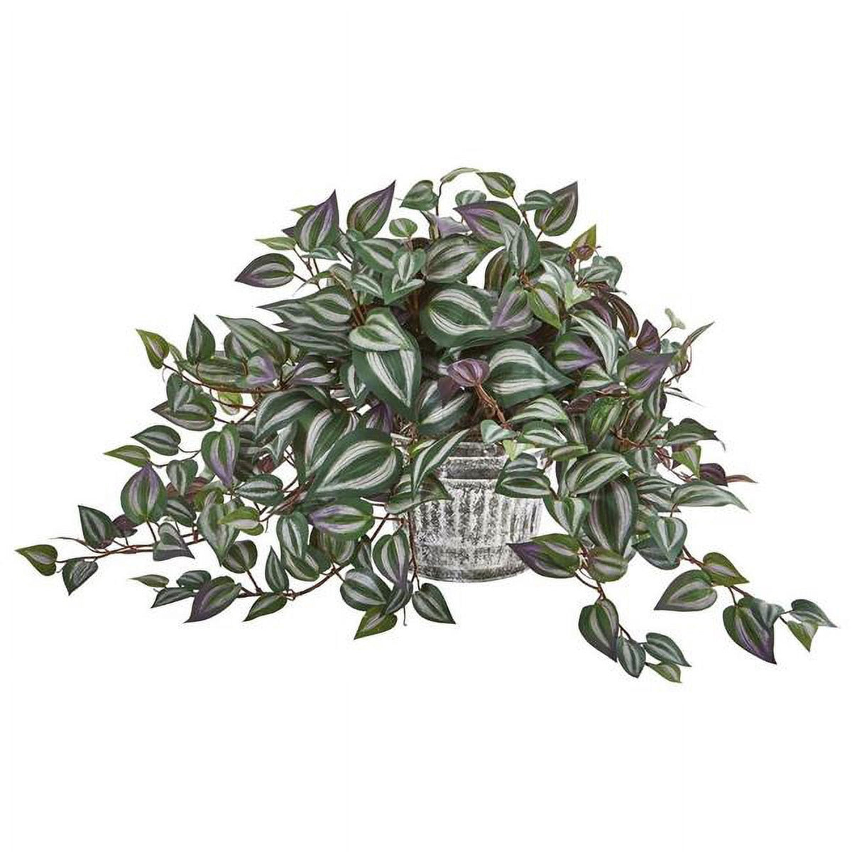15" Wandering Jew Plant in Vintage Metal Hanging Planter