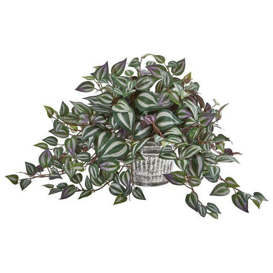 15" Wandering Jew Plant in Vintage Metal Hanging Planter