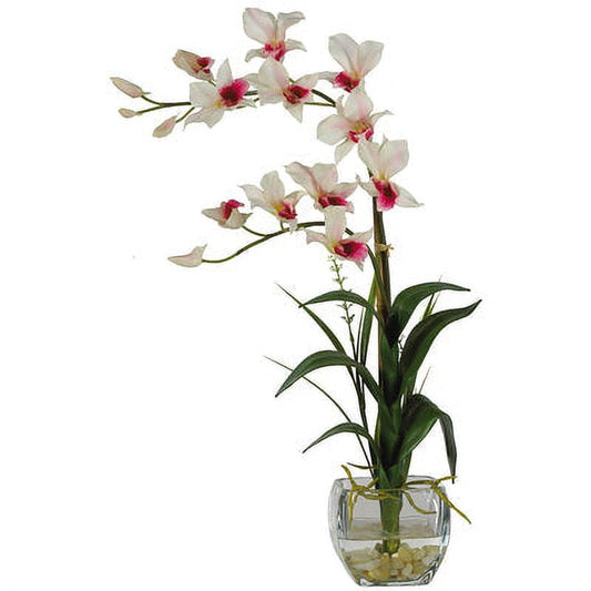 Dendrobium Cube Liquid Illusion Purple