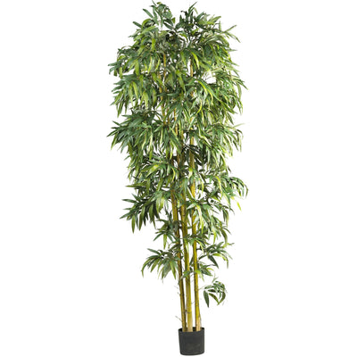 Silk Trees