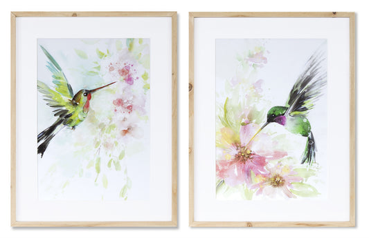 Framed Hummingbird Print (Set of 2)
