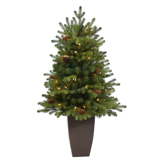 3.5' Yukon Fir Xmas Tree with 50 Clear Lights and Pine Cones