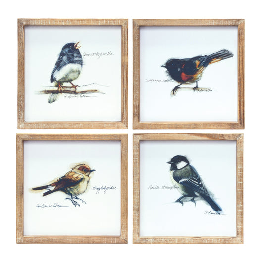 Wood Framed Bird Art Print (Set of 4)