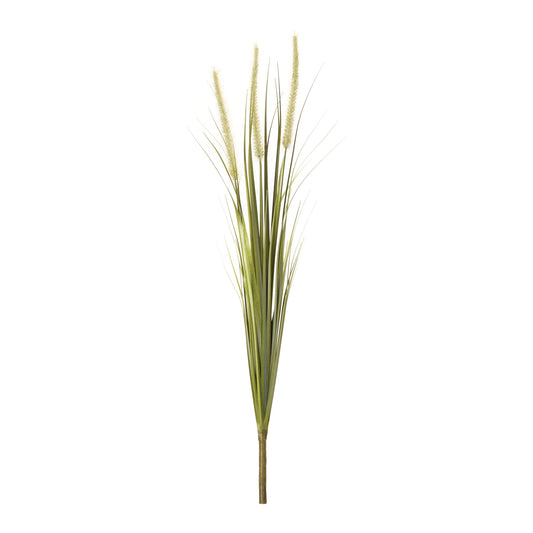 Foxtail Bush (Set of 6)