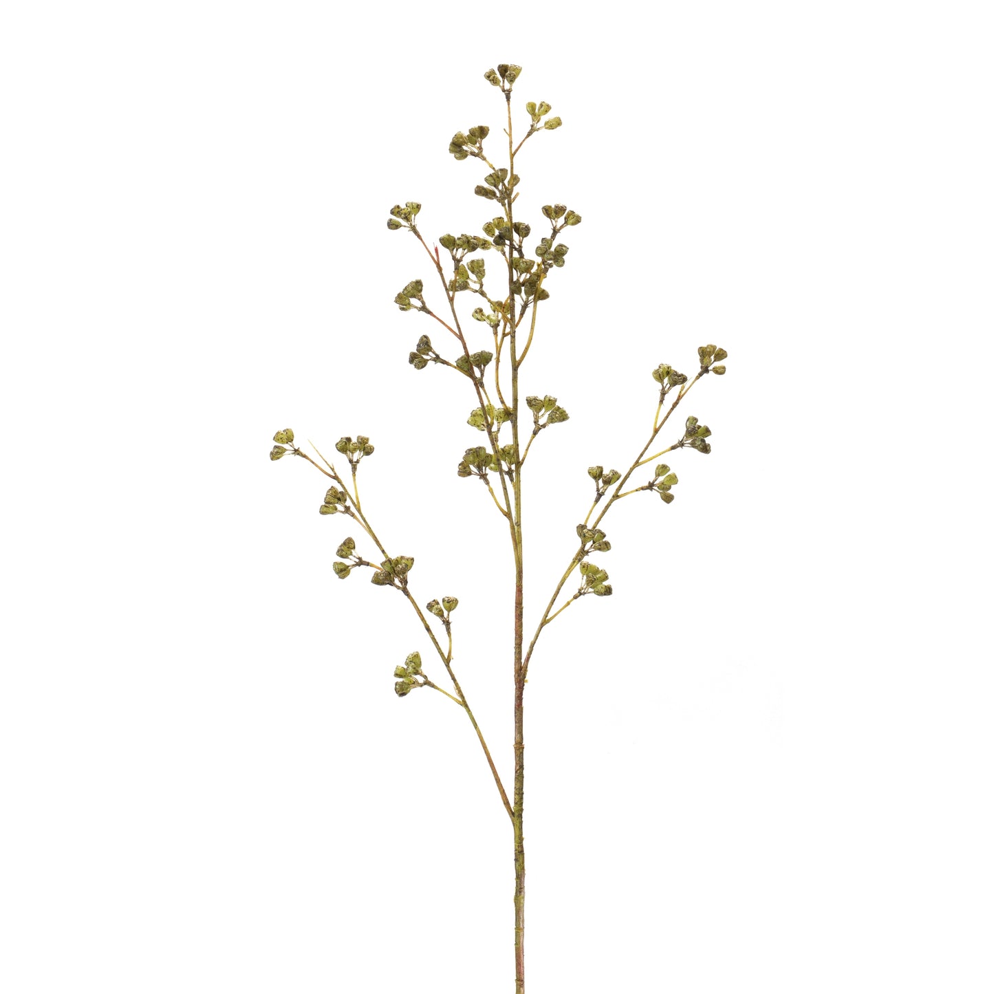 Winter Berry Pod Spray (Set of 6)