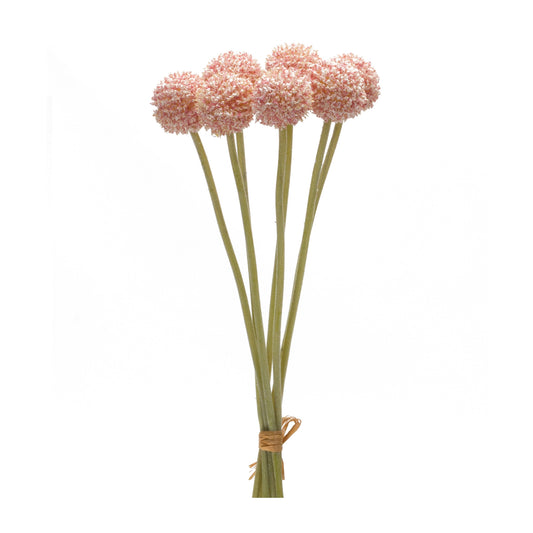 Pod Bundle (Set of 6)