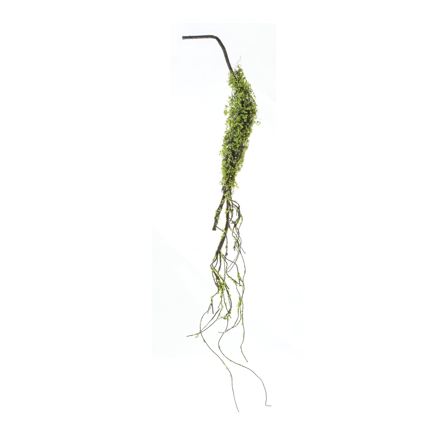 Moss Foliage Vine Branch (Set of 2)