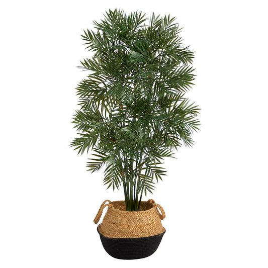 4' Parlor Palm Tree in Handmade Cotton & Jute Black Planter