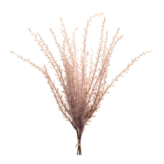 Grass Plume Bundle (Set of 6)