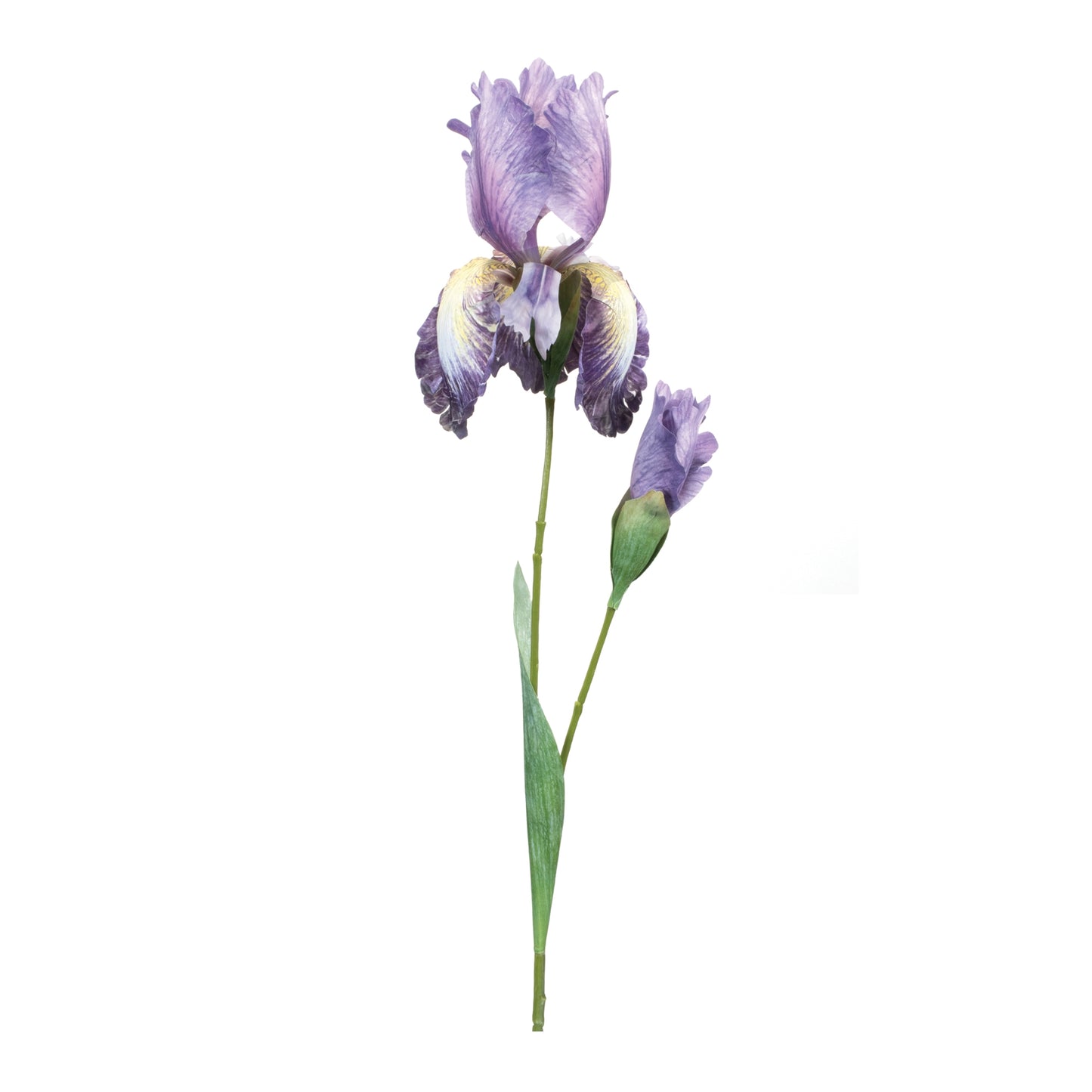 Iris Floral Stem (Set of 6)