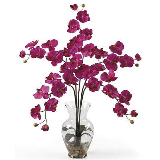 Five Stem Phalaenopsis Liquid Illusion Dark Pink