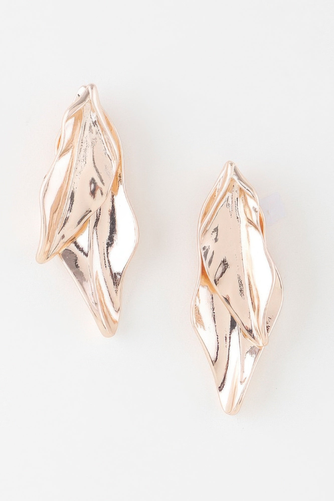 Shiny Double Leaf Drop Earrings
