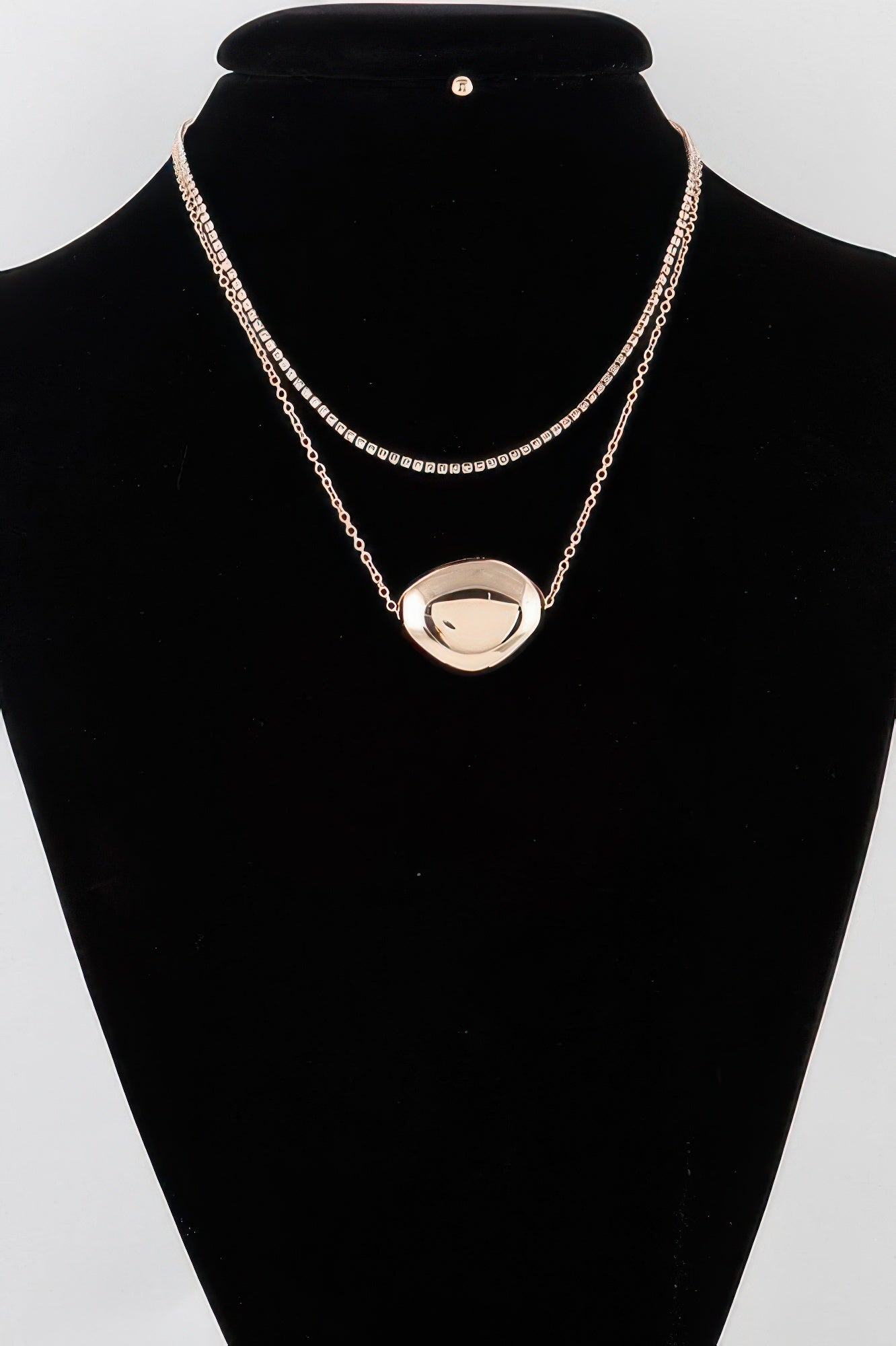Double Shiny Plate Necklace
