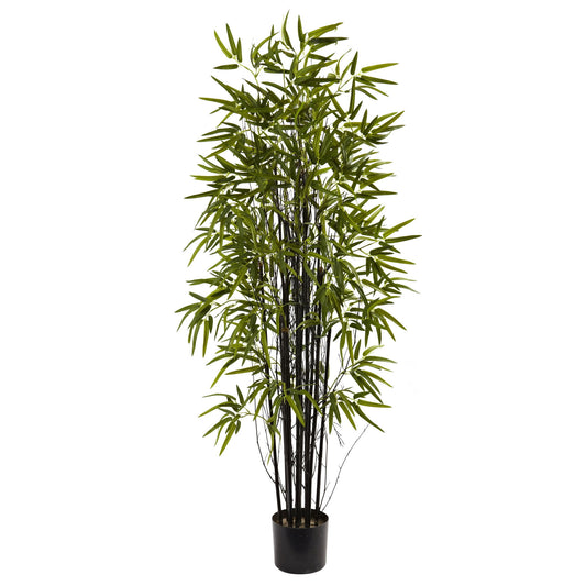 5' Black Bamboo Tree x 13 w/744 Lvs