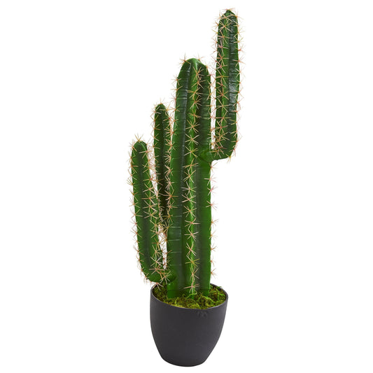 2.5' Cactus Artificial Plant