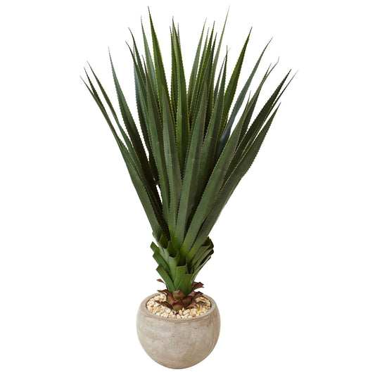 4.5" Spiked Agave in Sand Colored Bowl (Indoor/Outdoor)