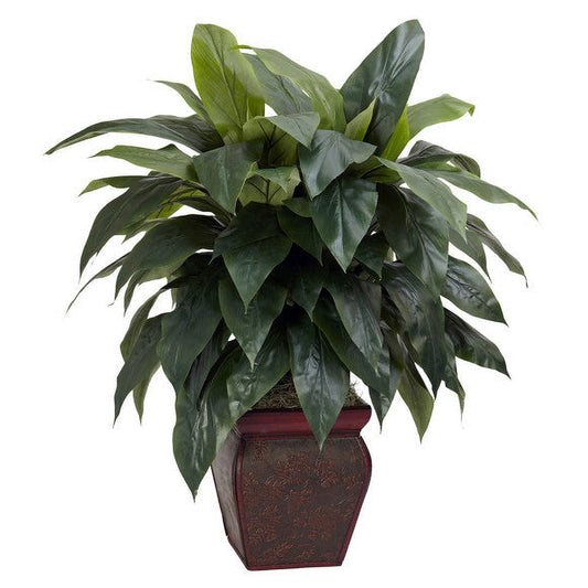 Cordyline w/Decorative Vase