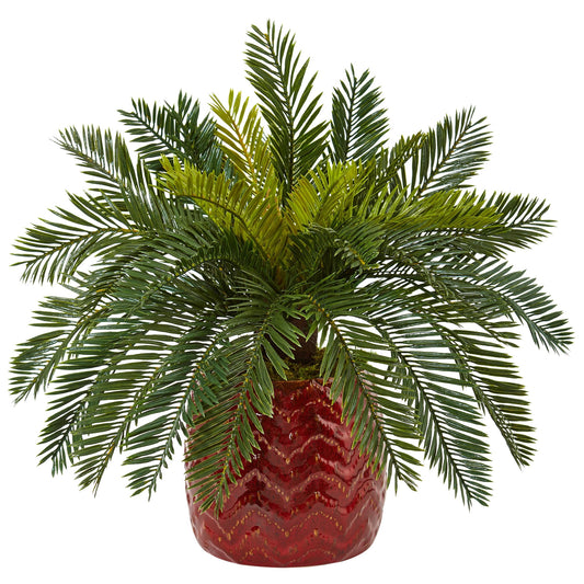 15" Cycas in Red Ceramic Planter
