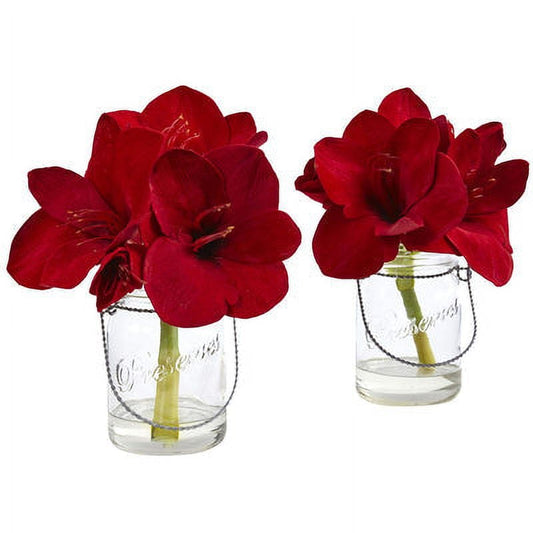 11" Amaryllis in Glass Vase (Set of 2)